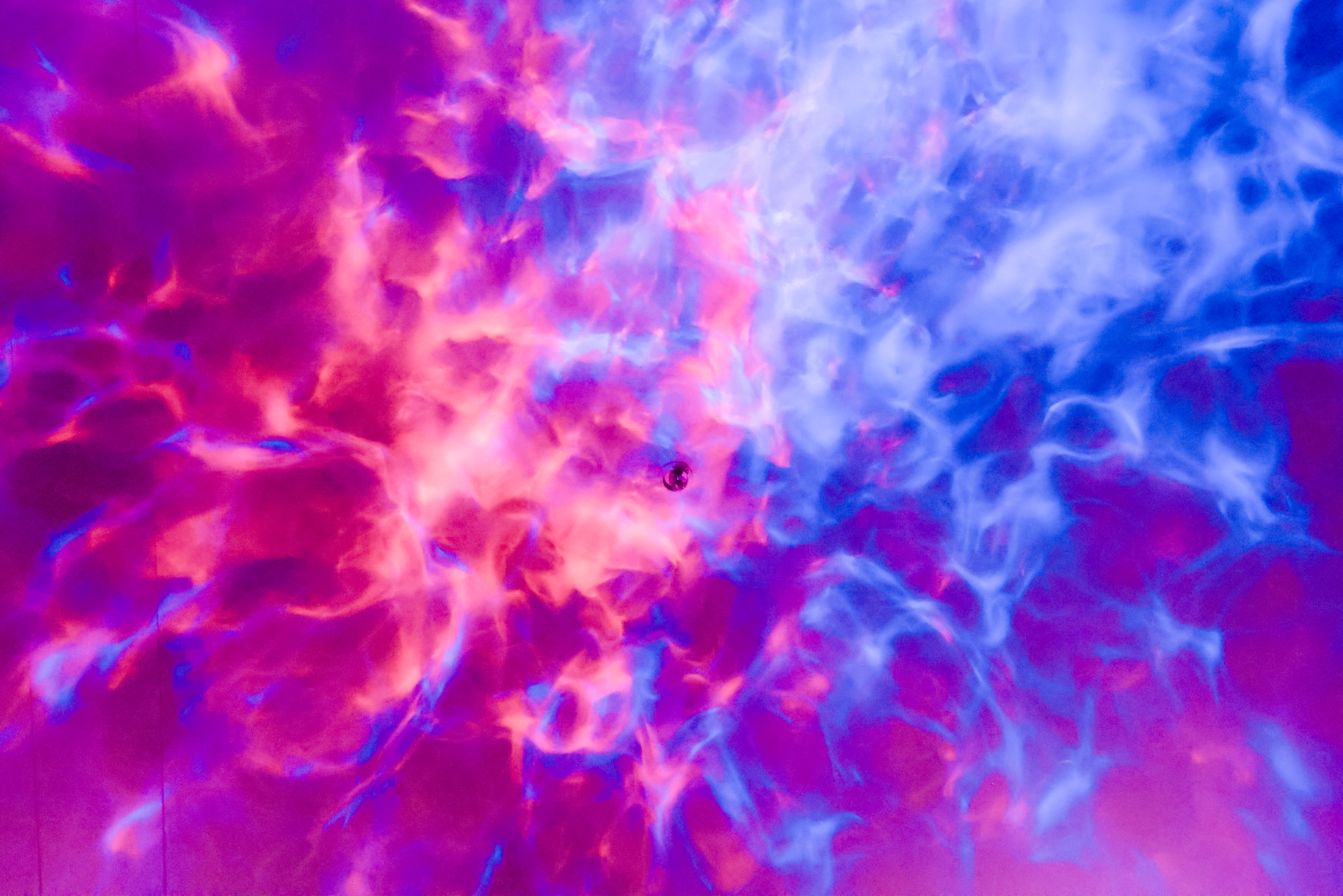 untitled-499.jpg